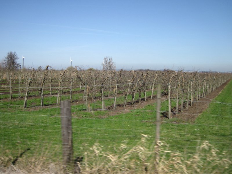 RTF Neuwiedenthal 194
